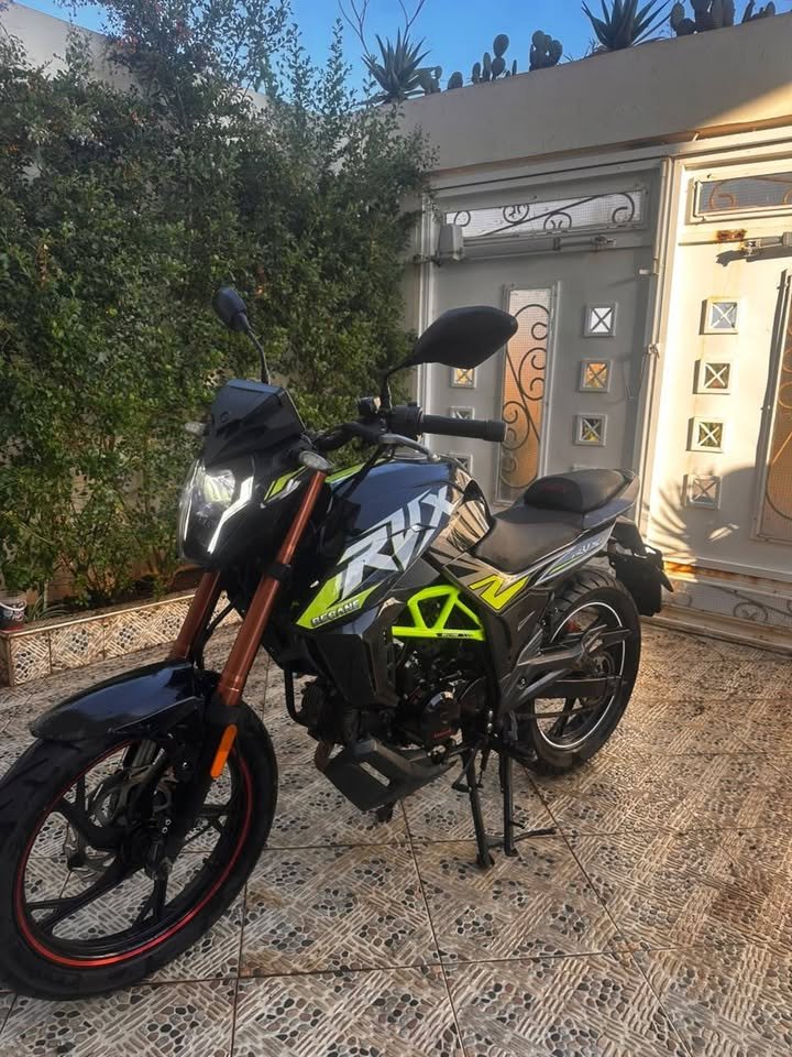 Rvx 8-2023