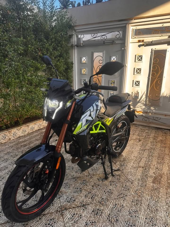 Rvx 8-2023